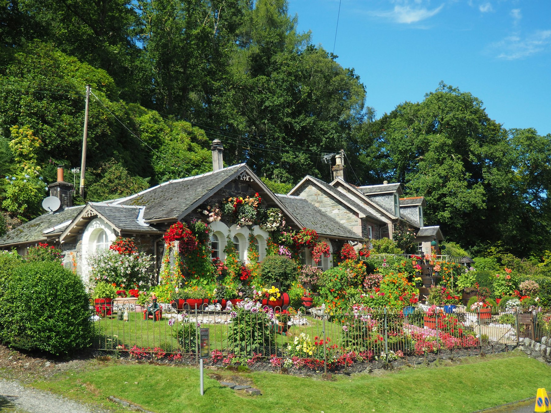 Colorful residential landscaping in East Williston NY